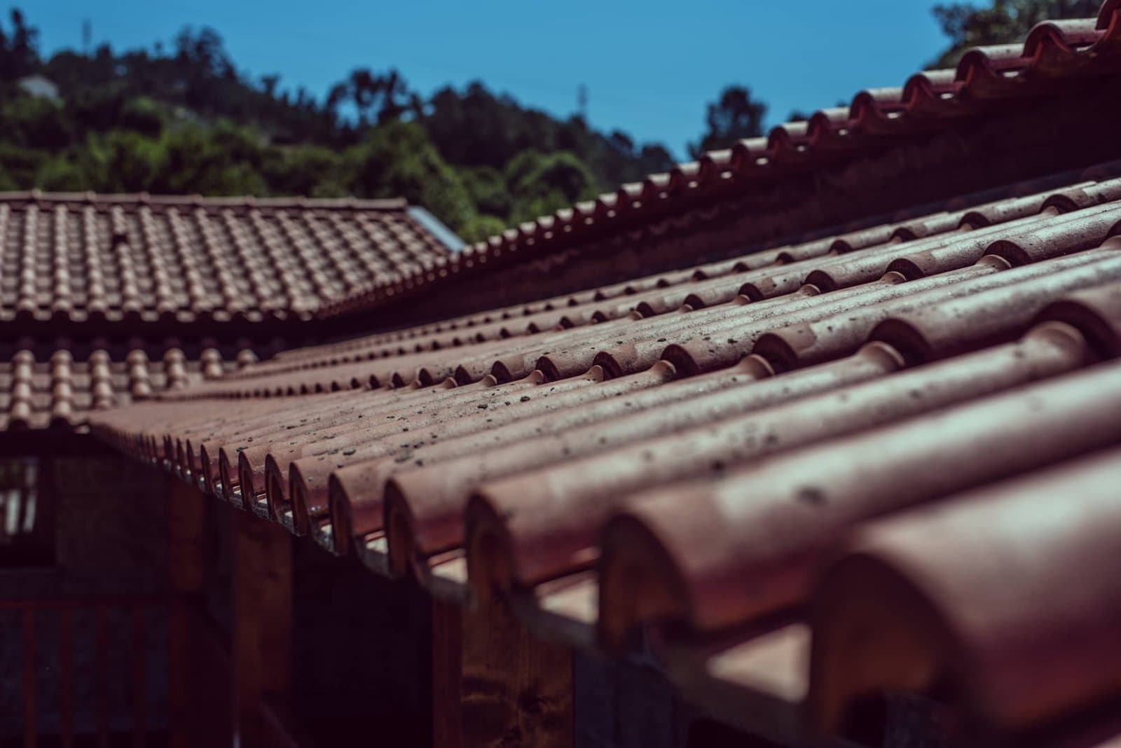 Clay roof tiles
